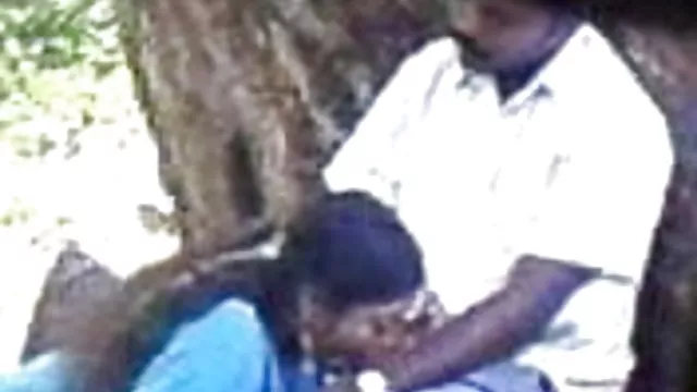 శృంగార ఆన్లైన్ నమోదు లేదు భారత డౌన్లోడ్, సెక్సీ వీడియో లో పార్క్