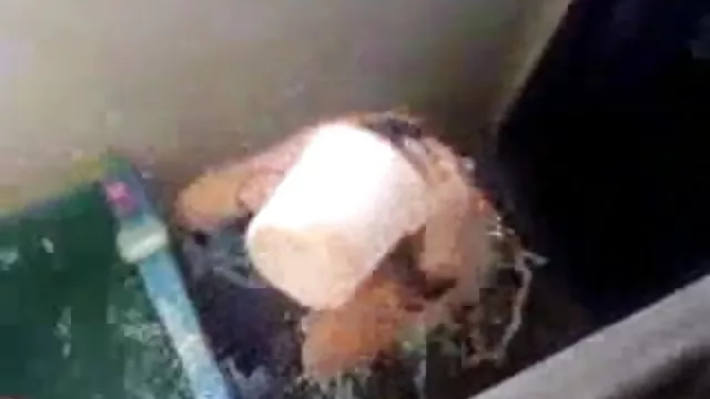 శృంగార ఆన్లైన్ నమోదు లేదు భారత ఆరు పని మనిషి తరులు సెక్స్ చూడటానికి సంతోషిస్తున్నాము ఉక్కిరి బిక్కిరి చెయ్యి