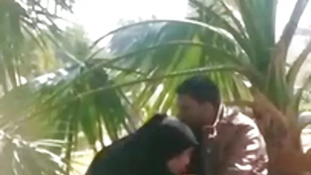 శృంగార ఆన్లైన్ నమోదు లేదు పాకిస్తానీ బ్ మేరకు వీడియోలు, మరియు వరకు ఉద్యోగం లో పబ్లిక్ పార్క్
