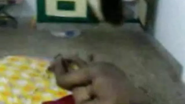 శృంగార ఆన్లైన్ నమోదు లేదు భారత సెక్సీ ఆంటీ 1058 01)